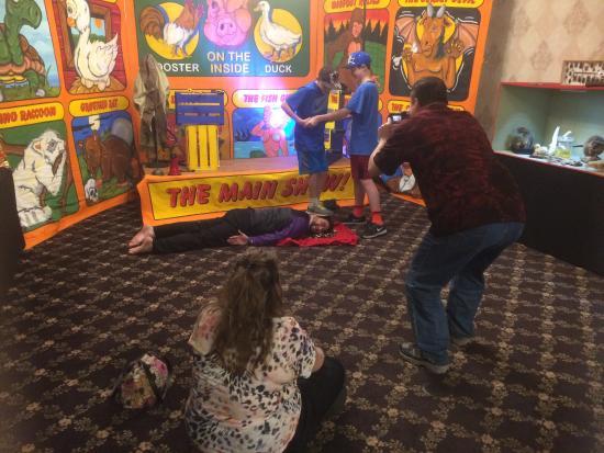 Mr Marvel's Wondertorium